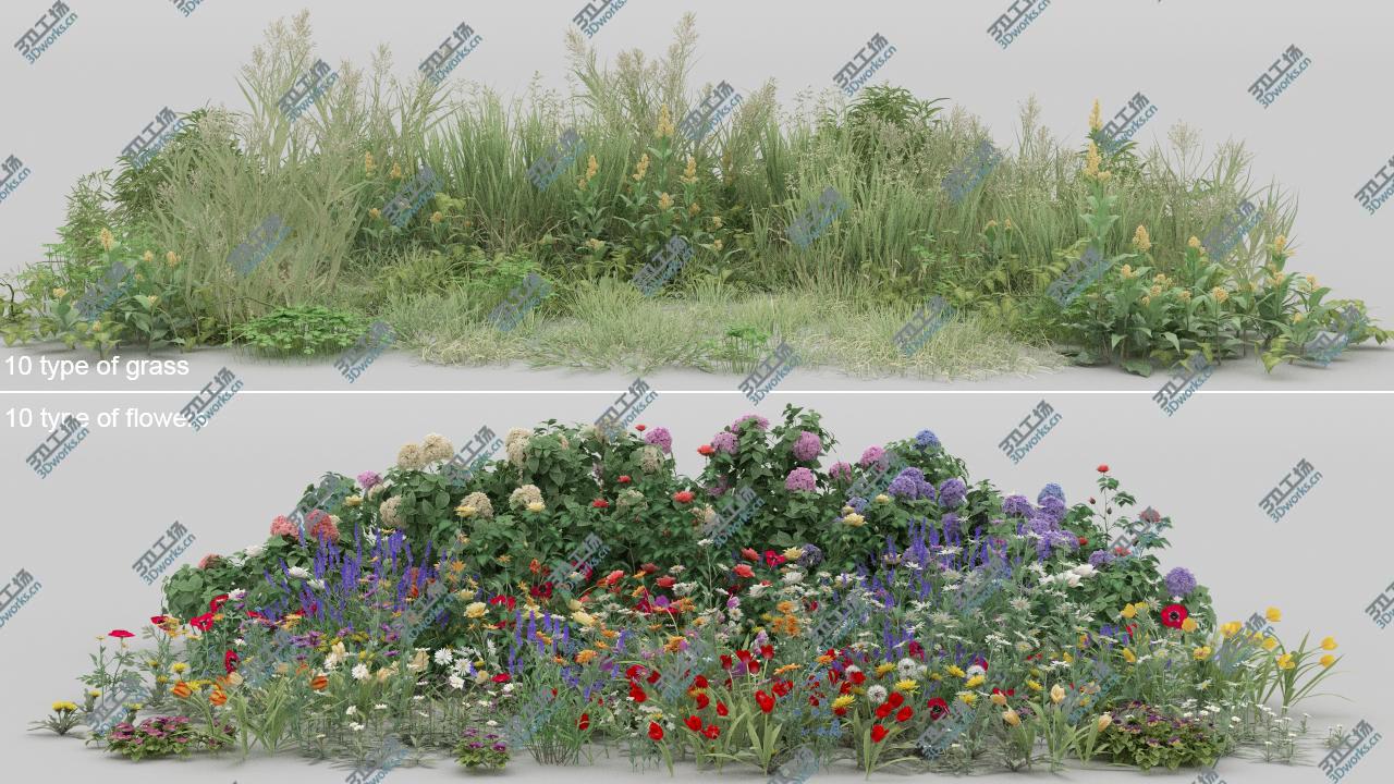 images/goods_img/20210319/3D 20 Summer Ground Plants/2.jpg
